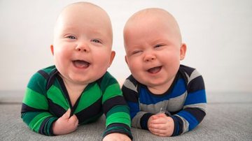 Imagem Na Sombra do Poder: Univitelinos e seus tentáculos