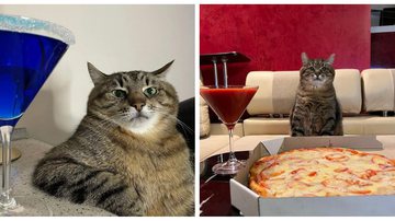 reprodução/Instagram