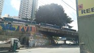 Leitor BNews