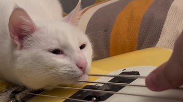 Reprodução / Instagram