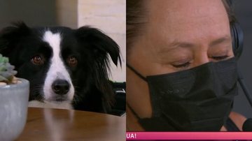 Reprodução/Tv Globo