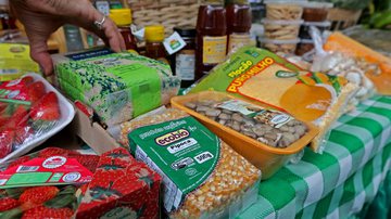 Divulgação / Fotos: Mateus Pereira/ GOVBA