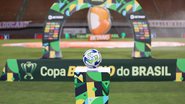 Felipe Oliveira/EC Bahia/Divulgação