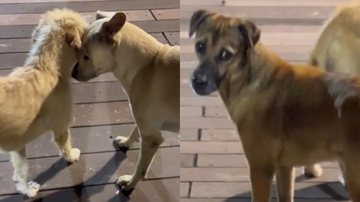 Reprodução/TikTok @atan_uber