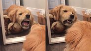 Reprodução/TikTok @goldenkonabear