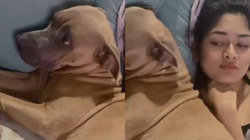 Reprodução/TikTok @ketlensant