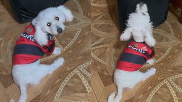 Reprodução/TikTok @owilliandeoliveira