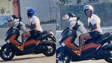 Imagem Cachorro piloto? Pet é flagrado em moto e tutor dispara: 'O lugar é sempre dele'; assista