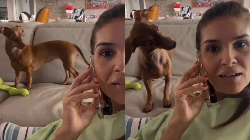 Reprodução/TikTok @diegomurillovet