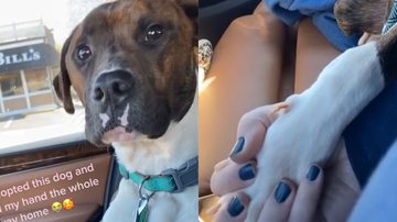 Reprodução/TikTok @abigailada12