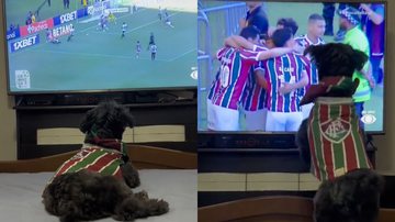 Reprodução/TikTok @pretinhadogtricolor