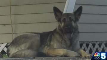 Reprodução / Youtube MyNBC5