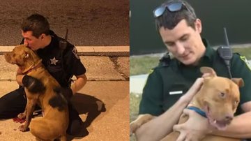 Reprodução/Facebook