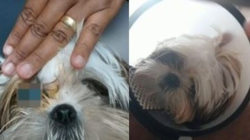 Reprodução / TV Record