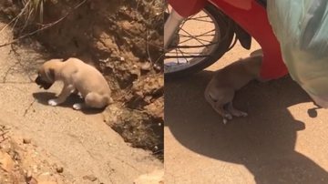 Reprodução/TikTok @lhenny_mhonique_oficial