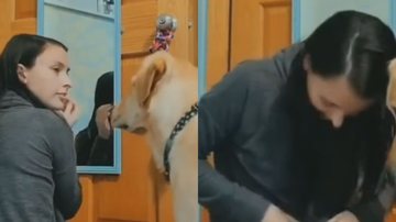 Reprodução/ Vídeo