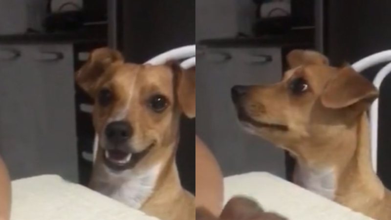Reprodução/ Vídeo