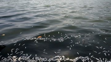 Tânia Rêgo/Agência Brasil