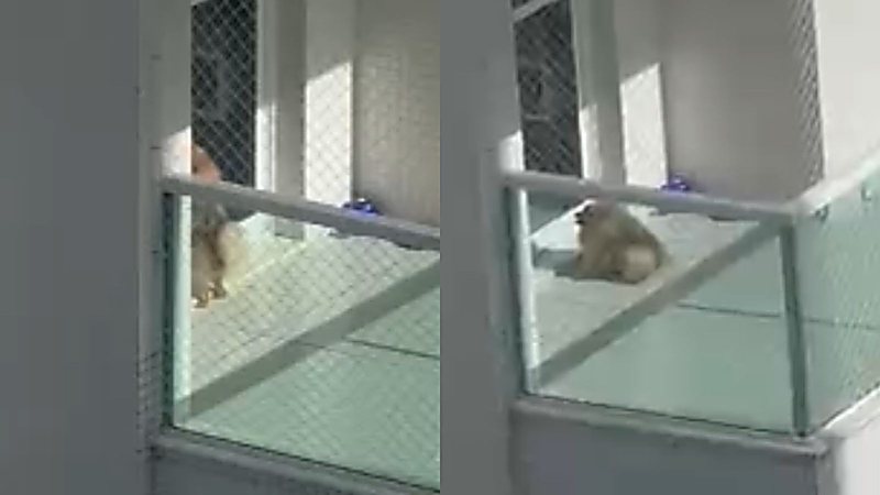 Arquivo pessoal