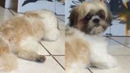 Reprodução// TikTok @leticiabcasabone