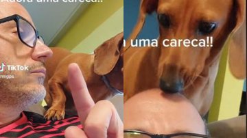 Reprodução// TikTok @rmgps