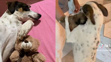 Reprodução// TikTok @ranineferreira8