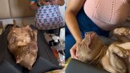 Reprodução// TikTok @luckekittyepri