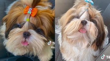 Reprodução// TikTok @thaiis_ms