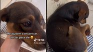 Reprodução// TikTok @ana.queirozz