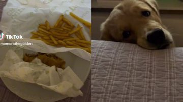 Reprodução// TikTok @momorathegolden