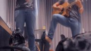 Reprodução// TikTok @tobiasdachshund