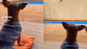 Reprodução// TikTok @jakeocaoo