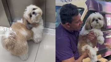 Reprodução// TikTok @miguelbobs