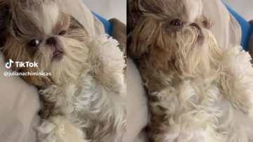 Reprodução// TikTok @julianachiminicas