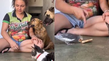 Reprodução// TikTok @larissadonapuma