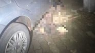 REPRODUÇÃO/CBMGO