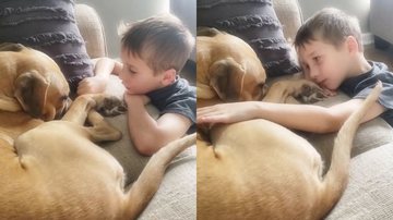 Reprodução/TikTok @the_crazyzoo