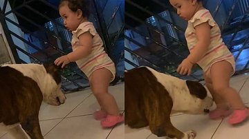 Reprodução/TikTok @shurekbjj