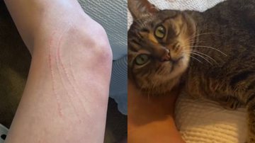 Reprodução/TikTok @remysavy__