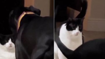 Reprodução / Instagram