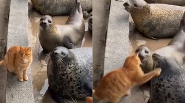 Reprodução / Instagram