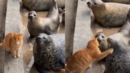 Reprodução / Instagram