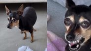 Reprodução / Instagram