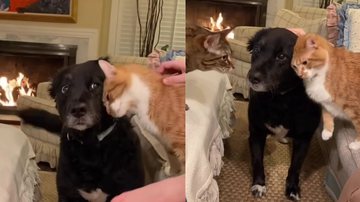 Reprodução / Instagram