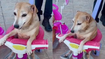 Reprodução / Instagram