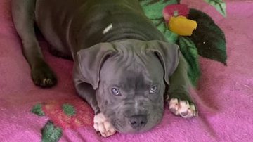 Reprodução / Instagram