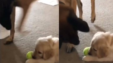 Reprodução / Instagram