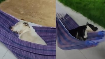 Reprodução / Instagram