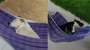 Reprodução / Instagram