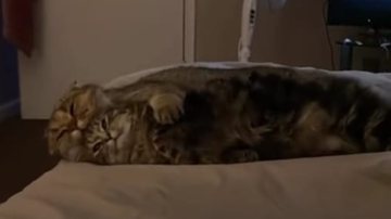 Reprodução / Instagram